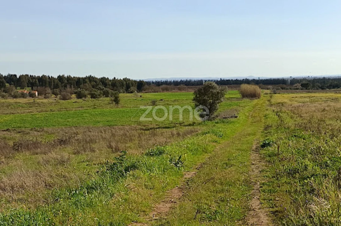 Terreno para Venda em Nossa Senhora da Expectação Foto 16