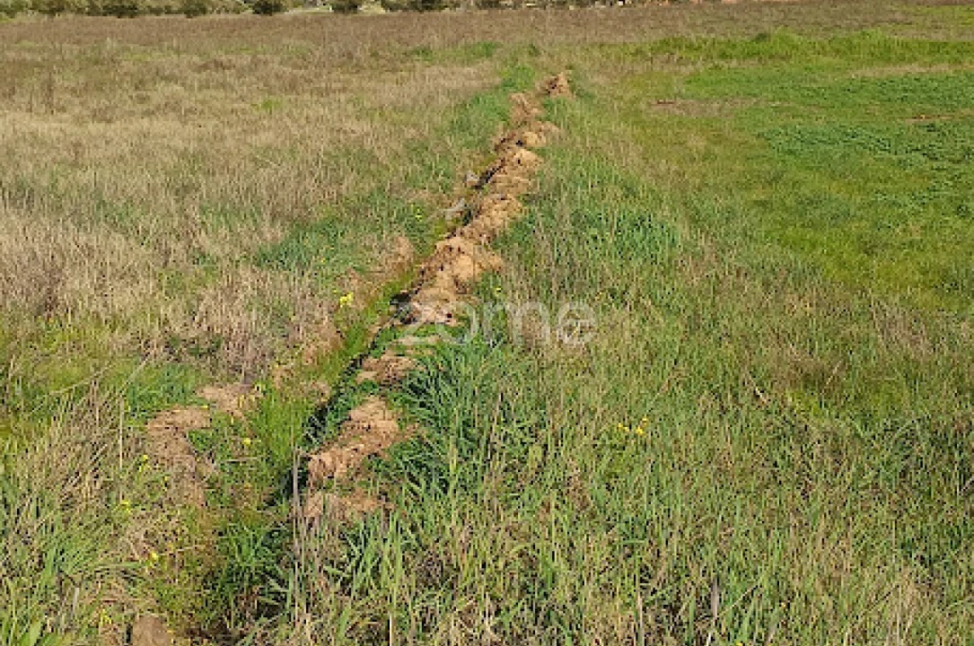 Terreno para Venda em Nossa Senhora da Expectação Foto 17