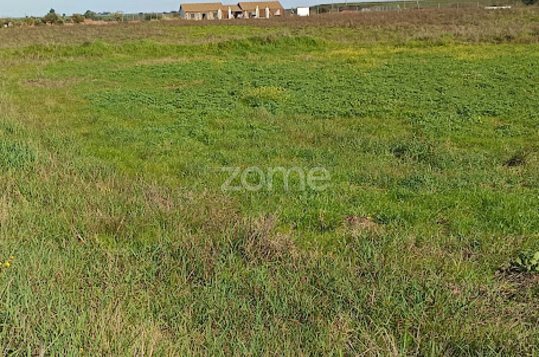 Terreno para Venda em Nossa Senhora da Expectação Foto 19