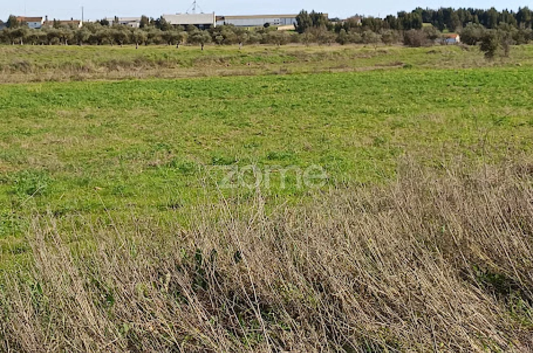 Terreno para Venda em Nossa Senhora da Expectação Foto 22