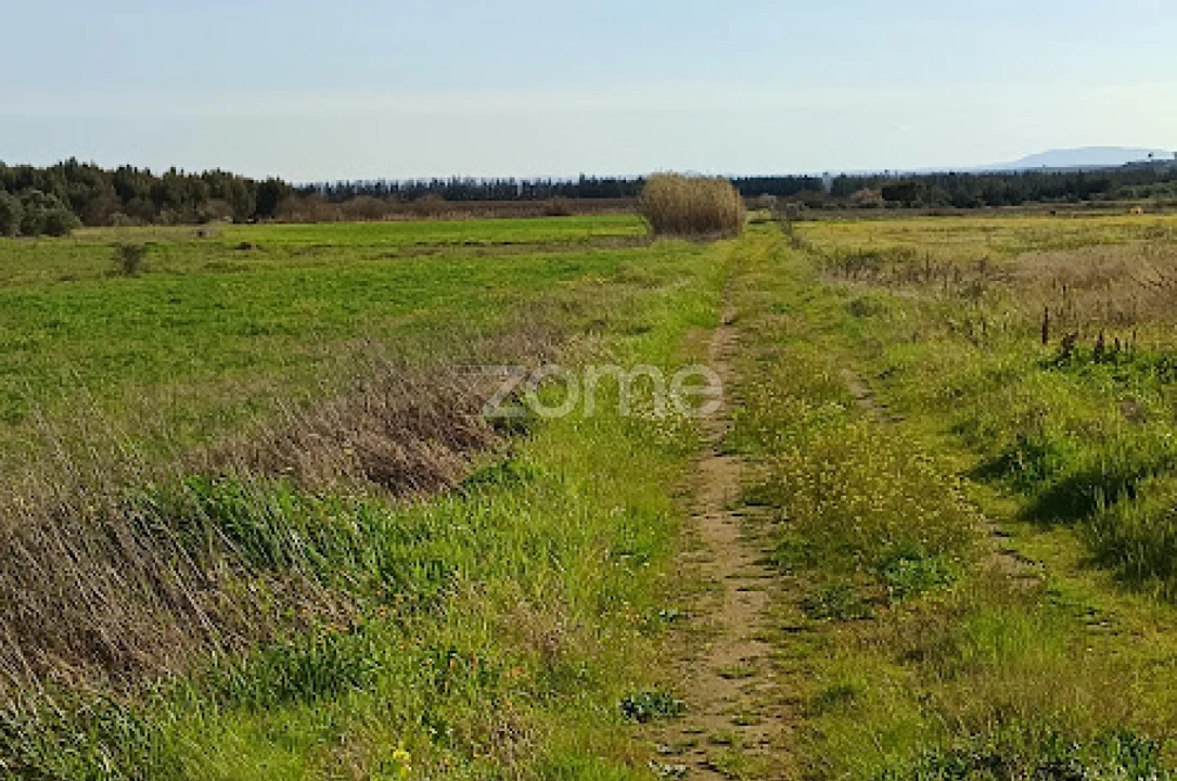 Terreno para Venda em Nossa Senhora da Expectação Foto 23