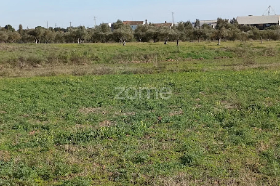 Terreno para Venda em Nossa Senhora da Expectação Foto 25