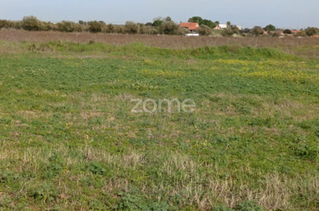 Terreno para Venda em Nossa Senhora da Expectação Foto 27