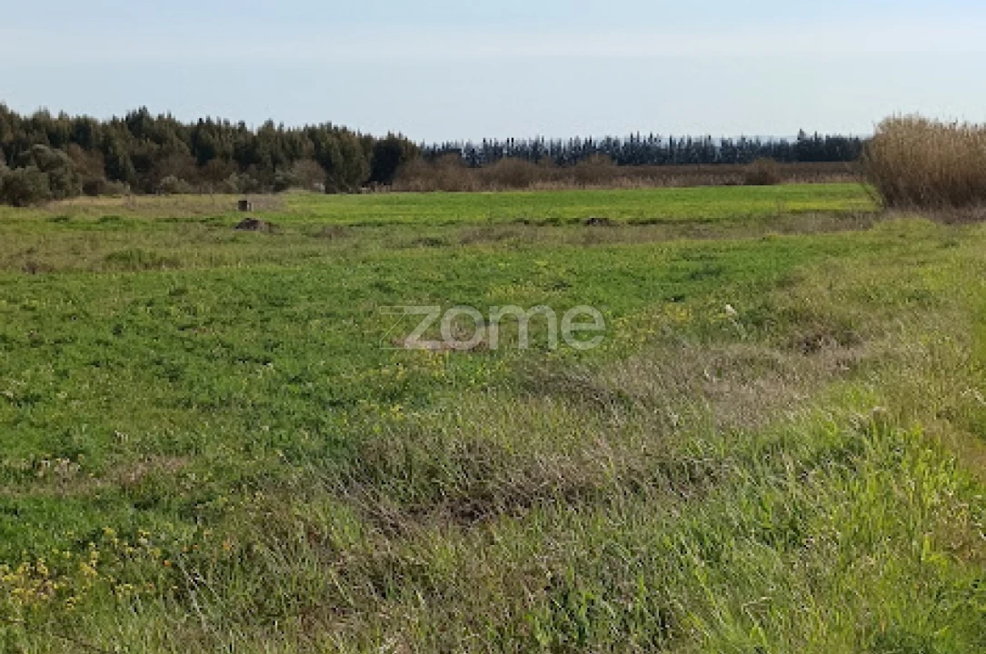 Terreno para Venda em Nossa Senhora da Expectação Foto 2
