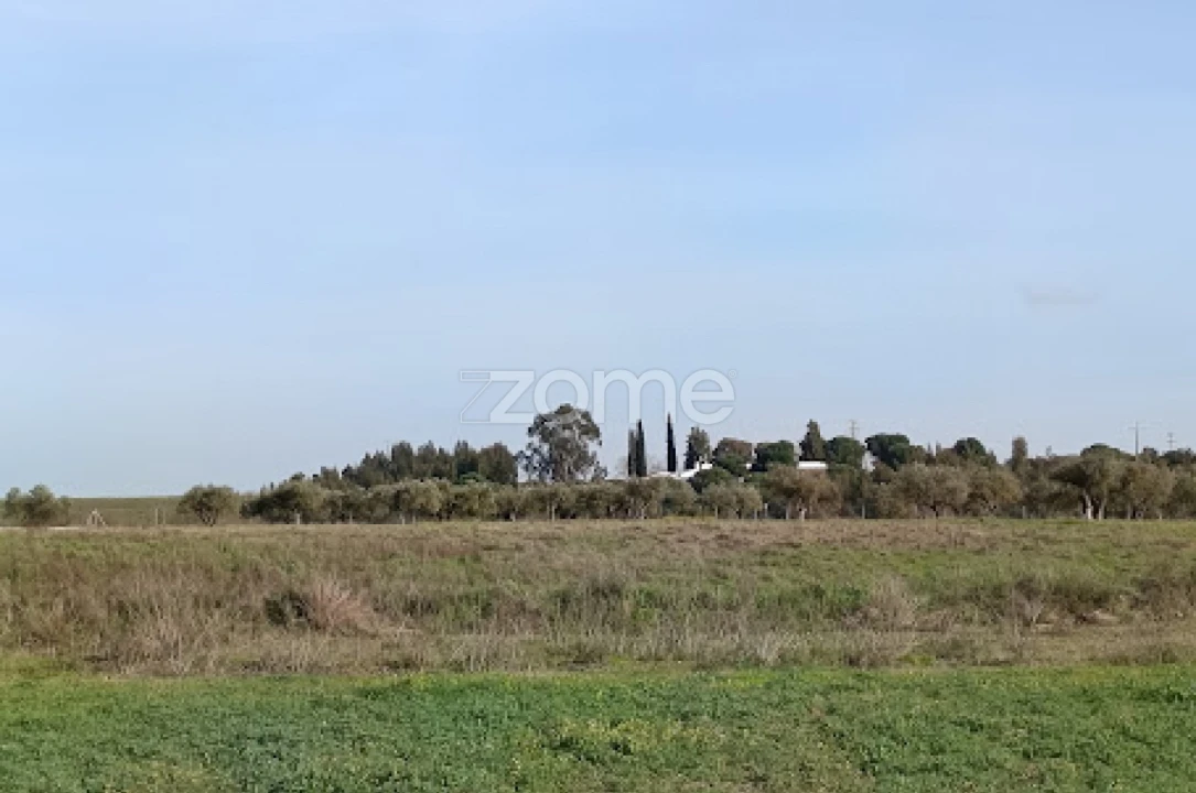 Terreno para Venda em Nossa Senhora da Expectação Foto 30