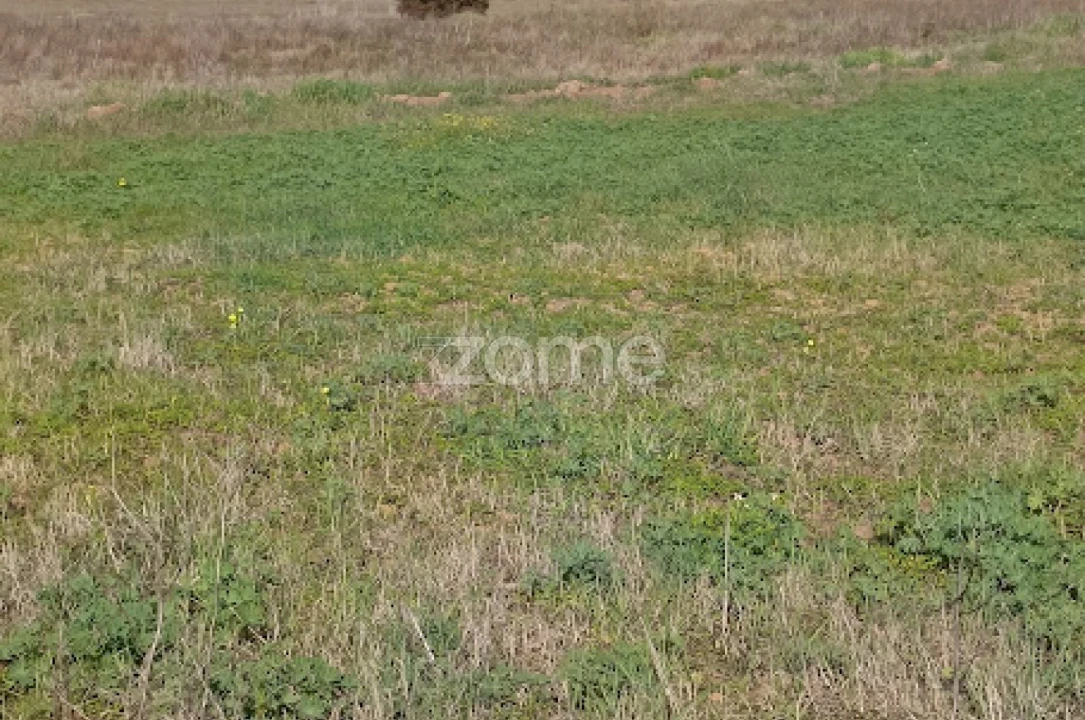 Terreno para Venda em Nossa Senhora da Expectação Foto 32