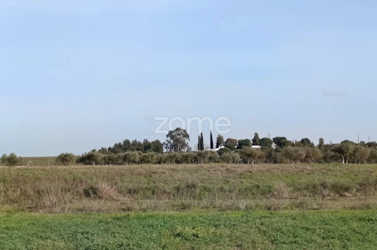 Terreno para Venda em Nossa Senhora da Expectação Foto 30