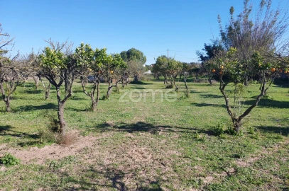 Quinta T3 para Venda em Santa Maria do Castelo e Santiago e Santa Susana