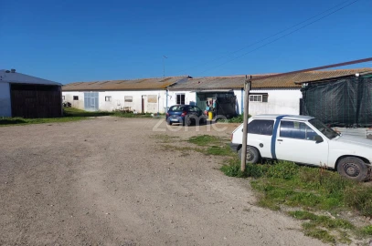 Quinta T3 para Venda em Santa Maria do Castelo e Santiago e Santa Susana