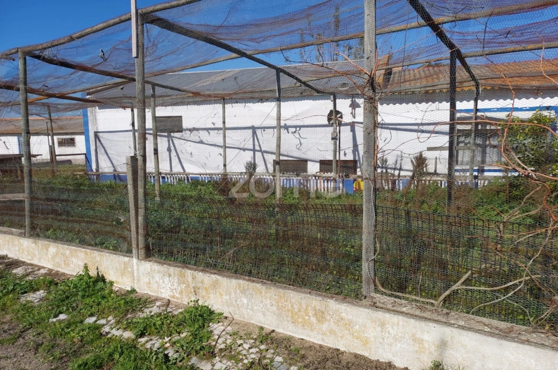 Quinta T3 para Venda em Santa Maria do Castelo e Santiago e Santa Susana Foto 11
