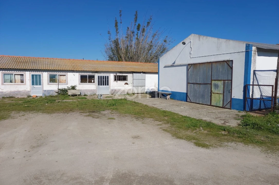 Quinta T3 para Venda em Santa Maria do Castelo e Santiago e Santa Susana Foto 12