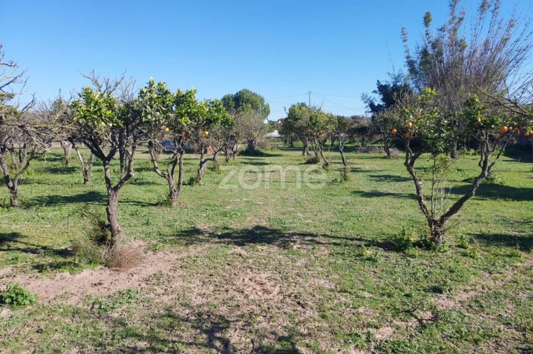 Quinta T3 para Venda em Santa Maria do Castelo e Santiago e Santa Susana Foto 6