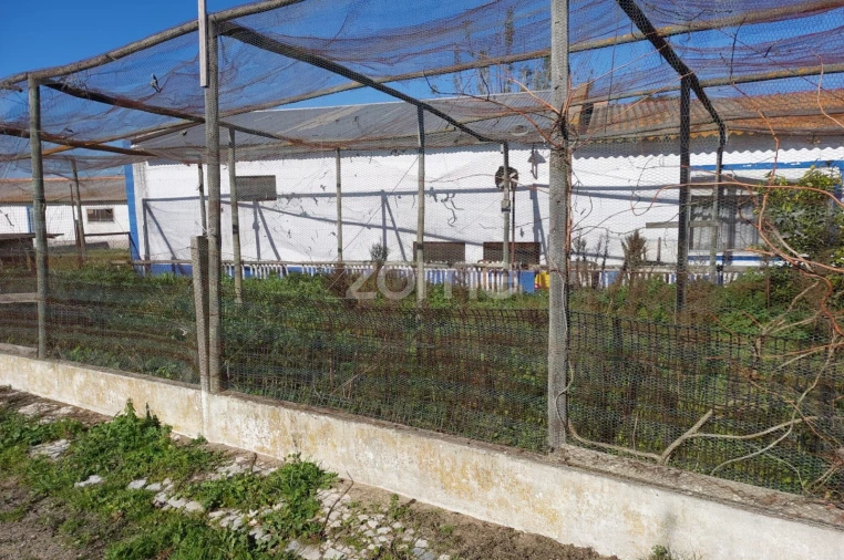 Quinta T3 para Venda em Santa Maria do Castelo e Santiago e Santa Susana Foto 11
