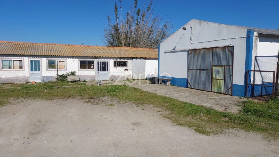 Quinta T3 para Venda em Santa Maria do Castelo e Santiago e Santa Susana