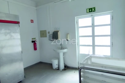 Negócio para Venda em Ferreira do Alentejo e Canhestros