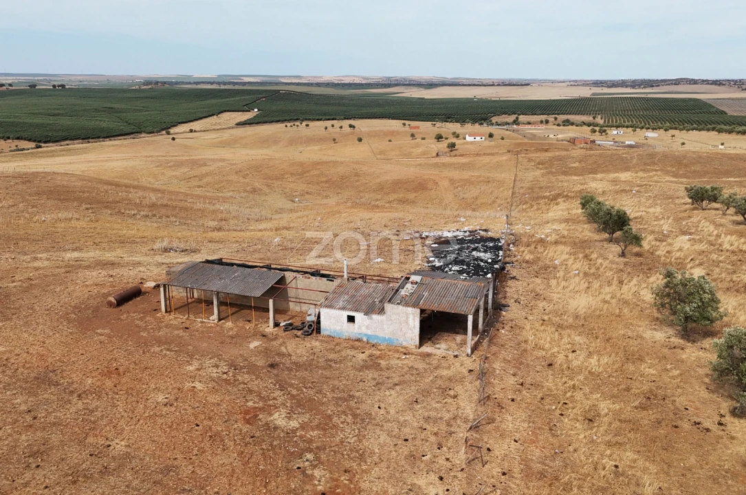 Terreno para Venda em Aljustrel e Rio de Moinhos Foto 4