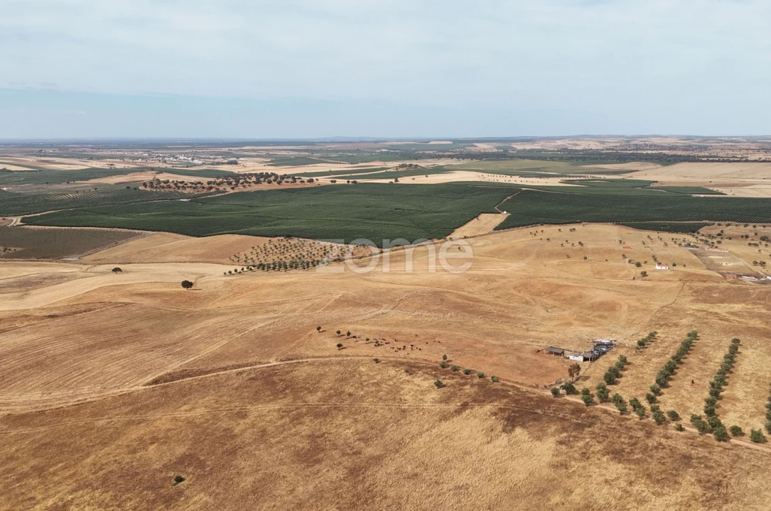 Terreno para Venda em Aljustrel e Rio de Moinhos Foto 10