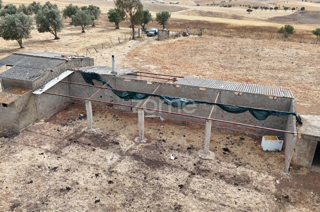 Terreno para Venda em Aljustrel e Rio de Moinhos Foto 5