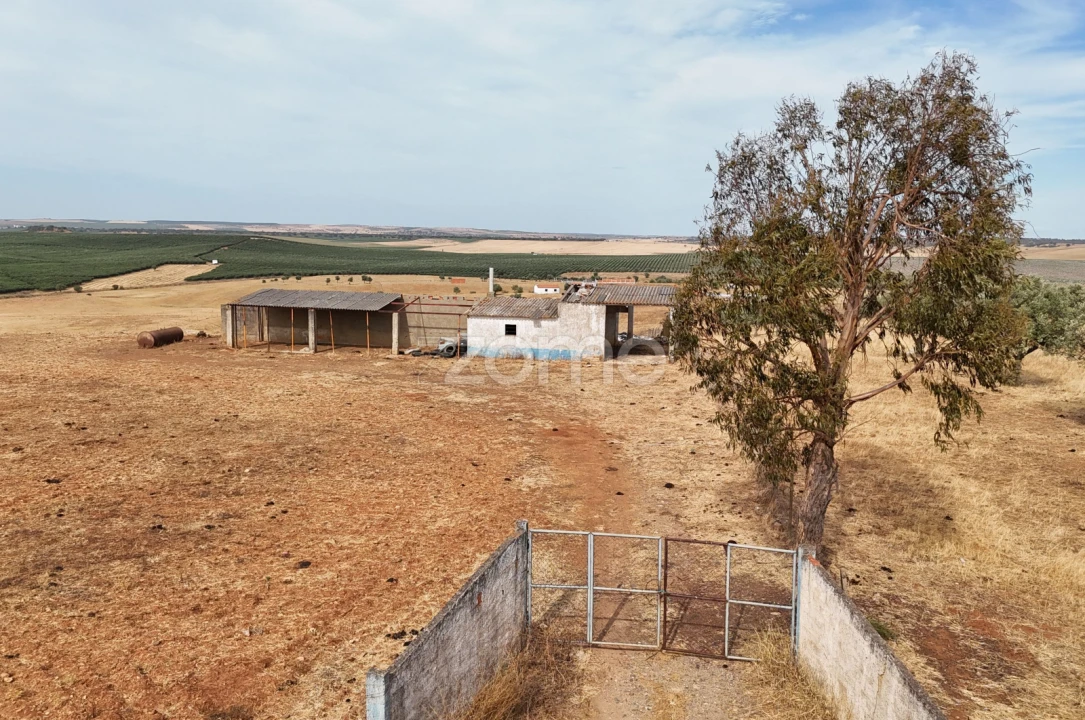 Terreno para Venda em Aljustrel e Rio de Moinhos Foto 3