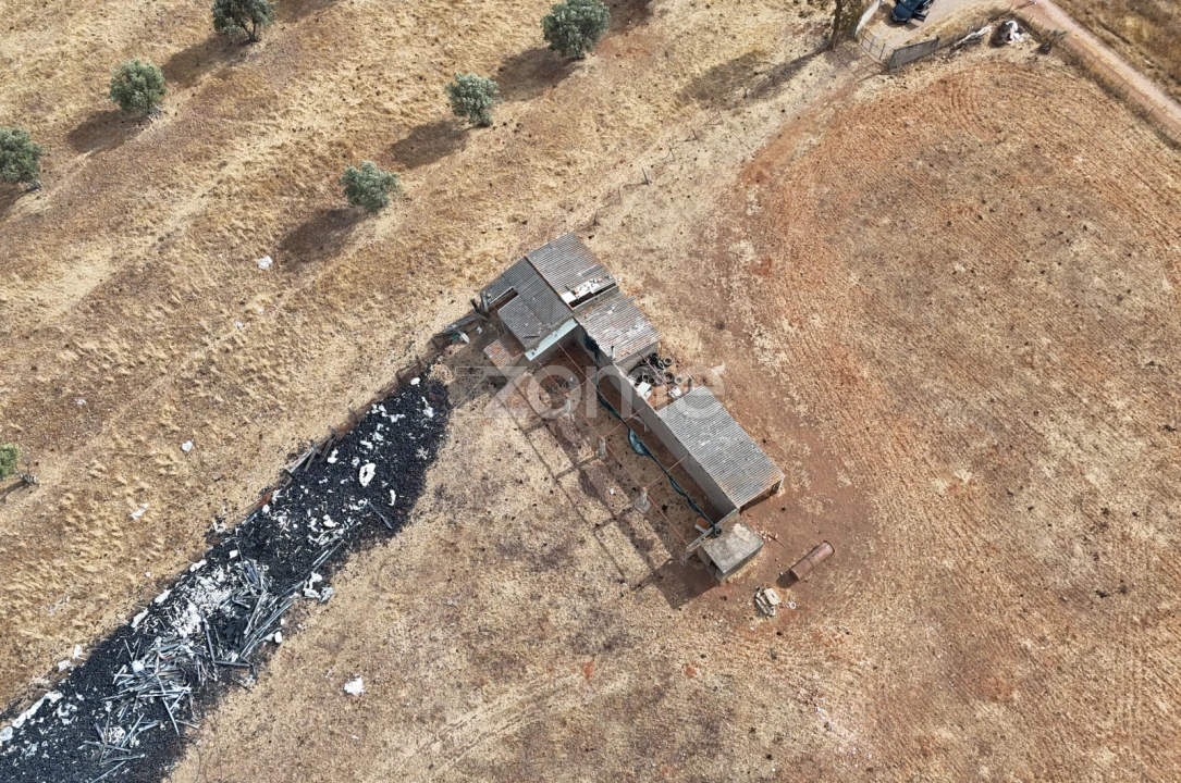 Terreno para Venda em Aljustrel e Rio de Moinhos Foto 11