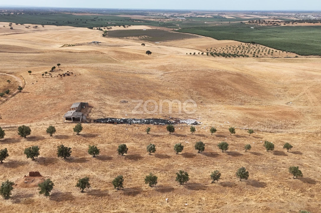 Terreno para Venda em Aljustrel e Rio de Moinhos Foto 12