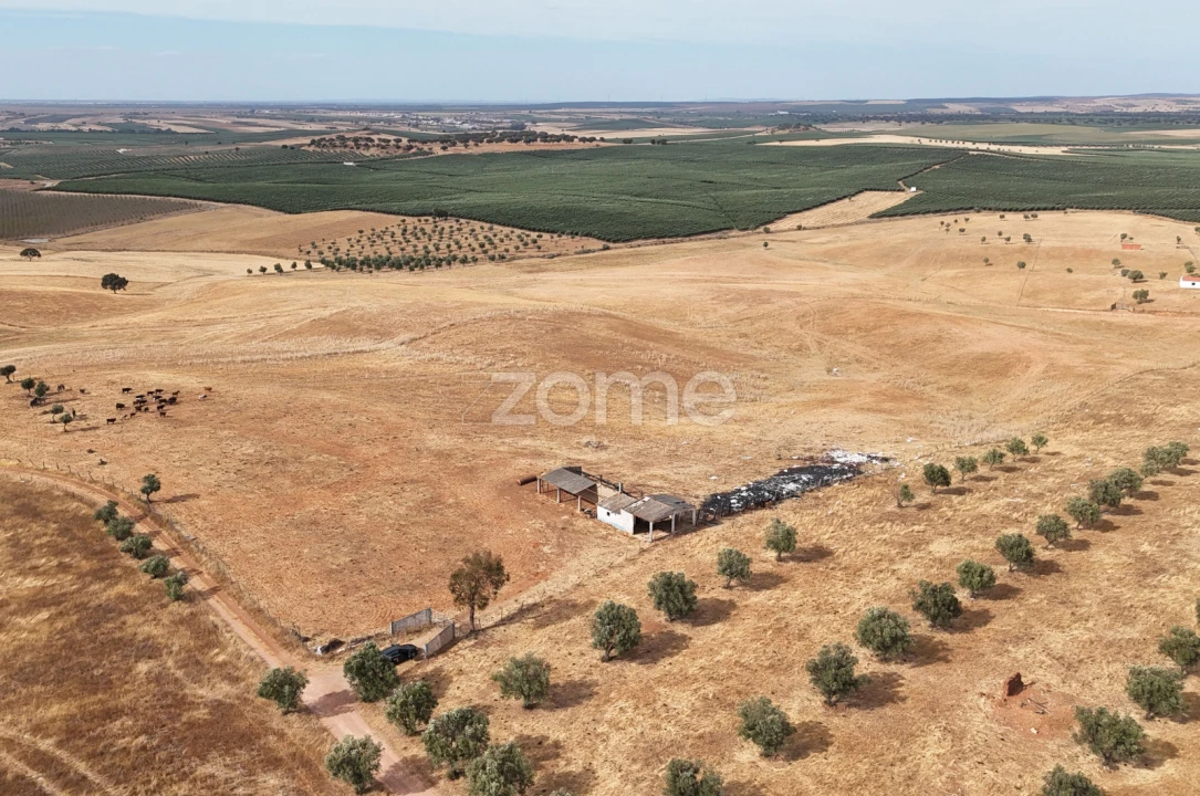 Terreno para Venda em Aljustrel e Rio de Moinhos Foto 14