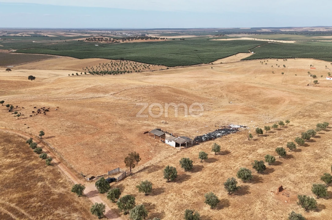 Terreno para Venda em Aljustrel e Rio de Moinhos Foto 8