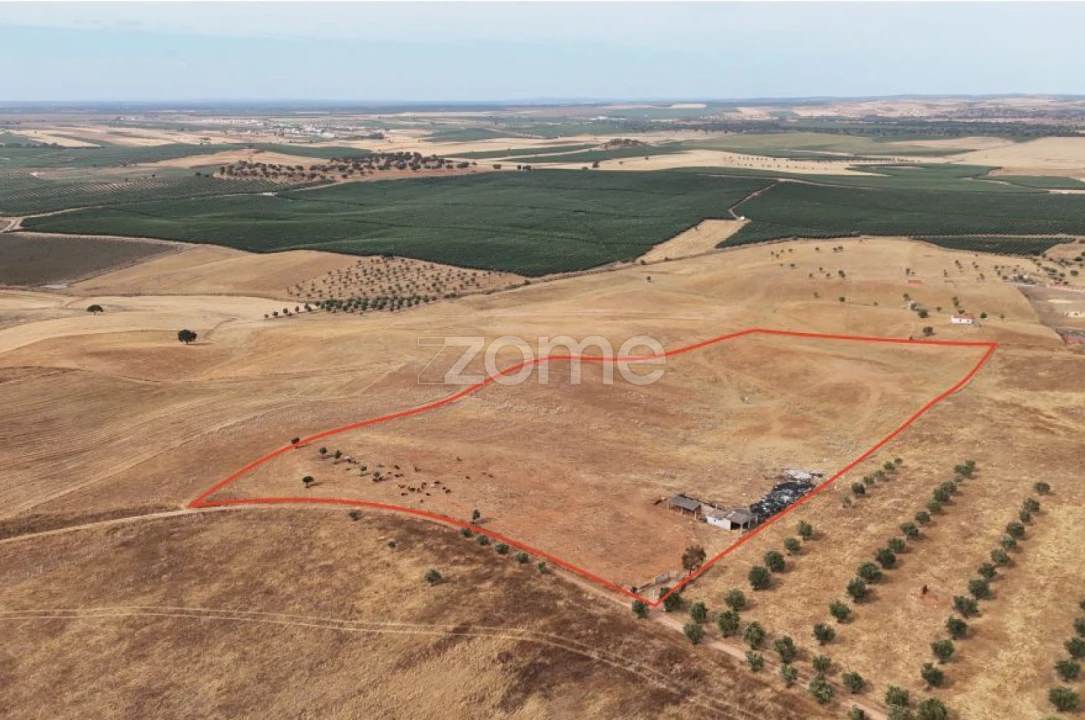 Terreno para Venda em Aljustrel e Rio de Moinhos Foto 2