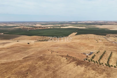 Terreno para Venda em Aljustrel e Rio de Moinhos