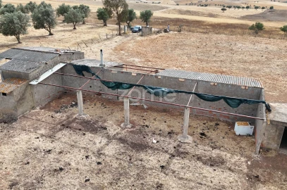 Terreno para Venda em Aljustrel e Rio de Moinhos