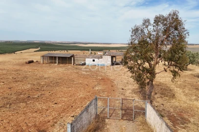 Terreno para Venda em Aljustrel e Rio de Moinhos