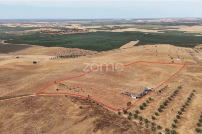 Terreno para Venda em Aljustrel e Rio de Moinhos