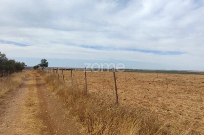 Terreno para Venda em Aljustrel e Rio de Moinhos