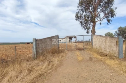 Terreno para Venda em Aljustrel e Rio de Moinhos