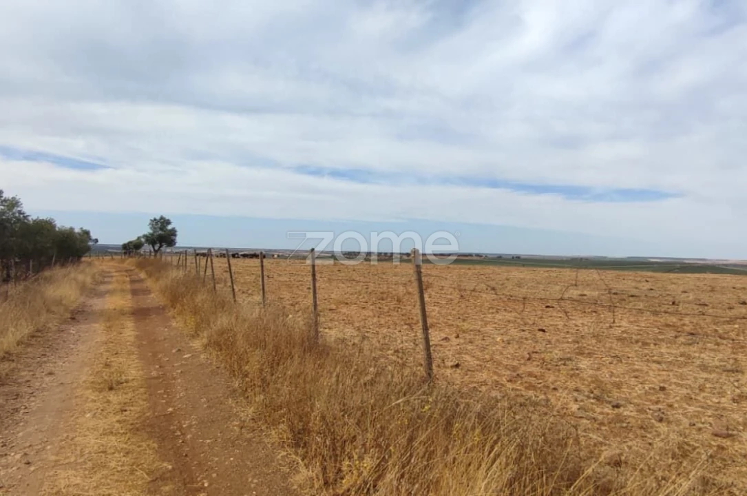 Terreno para Venda em Aljustrel e Rio de Moinhos Foto 6