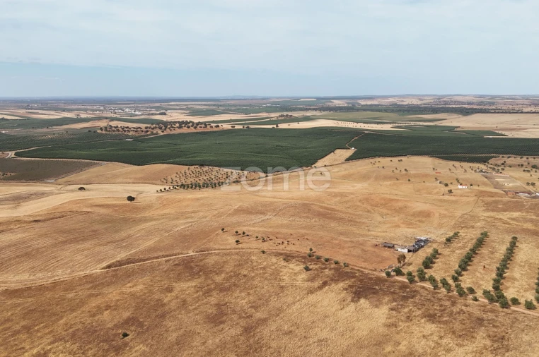 Terreno para Venda em Aljustrel e Rio de Moinhos Foto 10