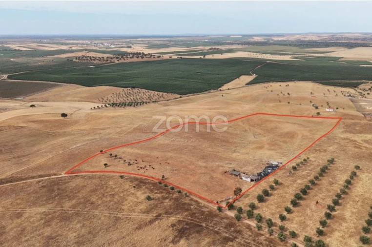 Terreno para Venda em Aljustrel e Rio de Moinhos Foto 2