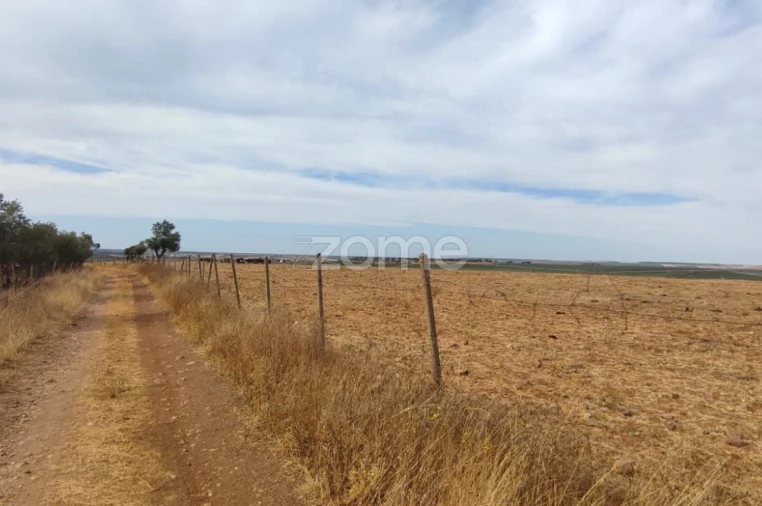 Terreno para Venda em Aljustrel e Rio de Moinhos Foto 6