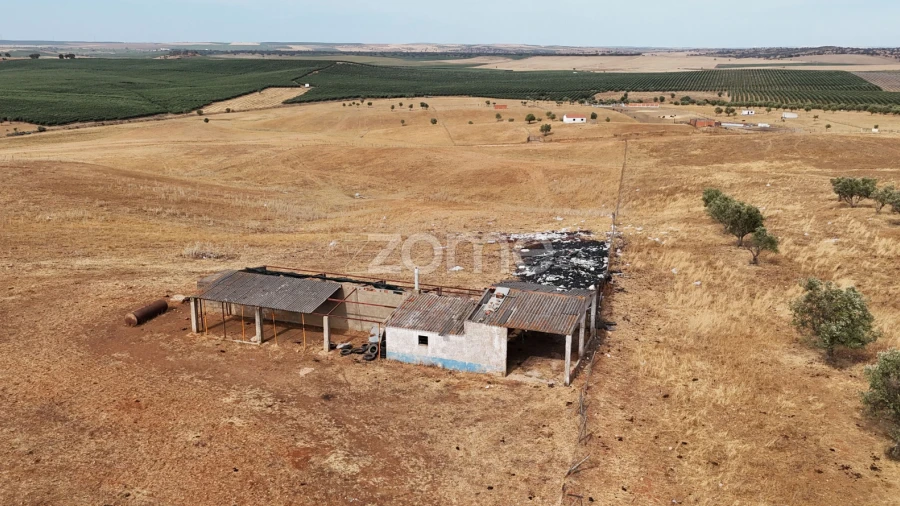 Terreno para Venda em Aljustrel e Rio de Moinhos