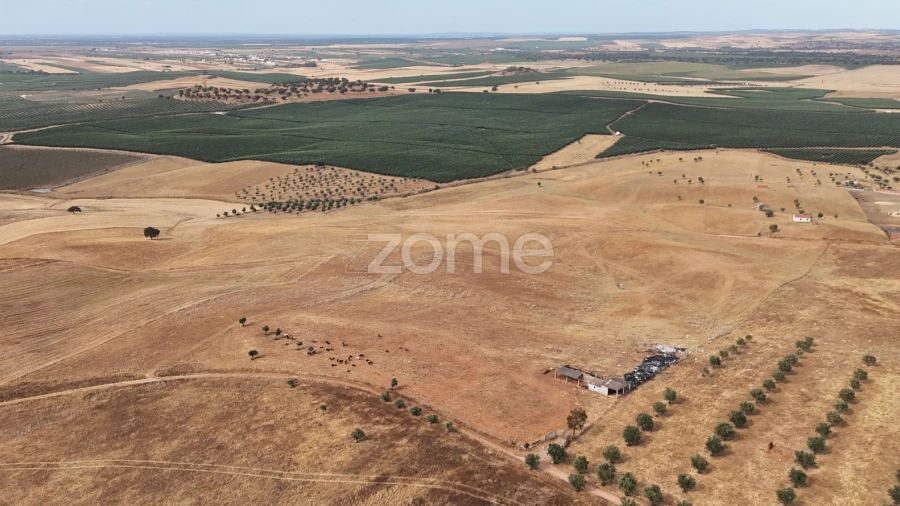 Terreno para Venda em Aljustrel e Rio de Moinhos