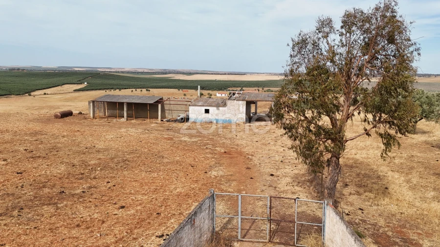Terreno para Venda em Aljustrel e Rio de Moinhos