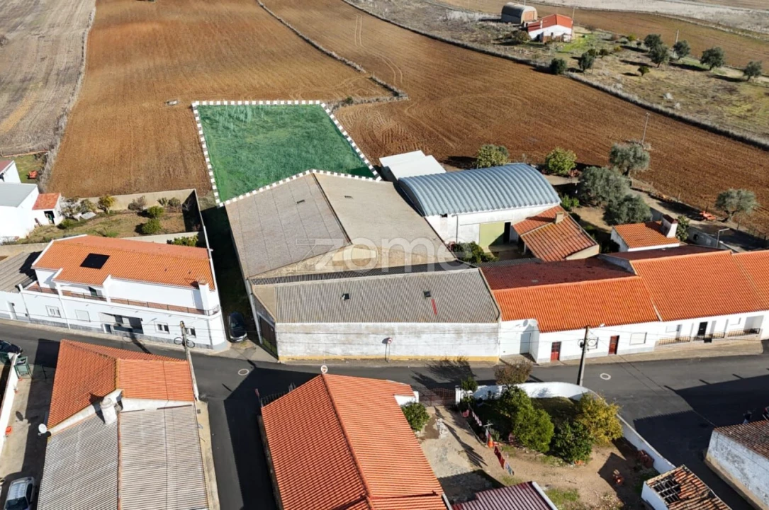 Terreno para Venda em Ferreira do Alentejo e Canhestros Foto 11