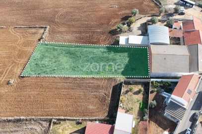 Terreno para Venda em Ferreira do Alentejo e Canhestros