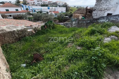 Terreno para Venda em Almodôvar e Graça dos Padrões