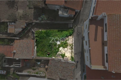 Terreno para Venda em Almodôvar e Graça dos Padrões