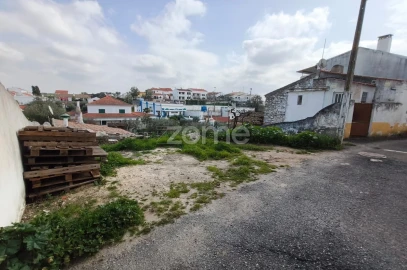 Terreno para Venda em Almodôvar e Graça dos Padrões