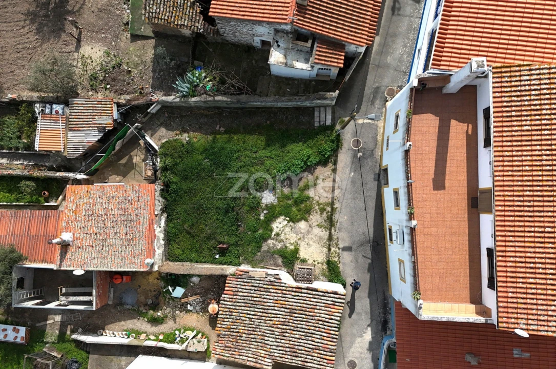 Terreno para Venda em Almodôvar e Graça dos Padrões Foto 14
