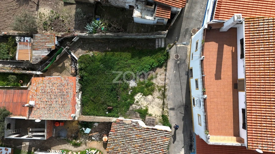 Terreno para Venda em Almodôvar e Graça dos Padrões