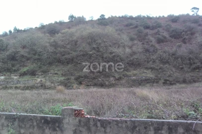 Terreno para Venda em Mafra