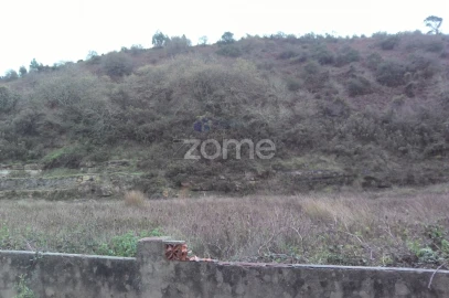 Terreno para Venda em Mafra